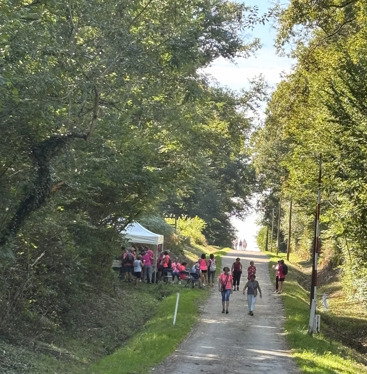 Affiche de La Faran’DOLE d’octobre rose au Club nautique de Dole à Dole (39) — Sorties dans le Jura