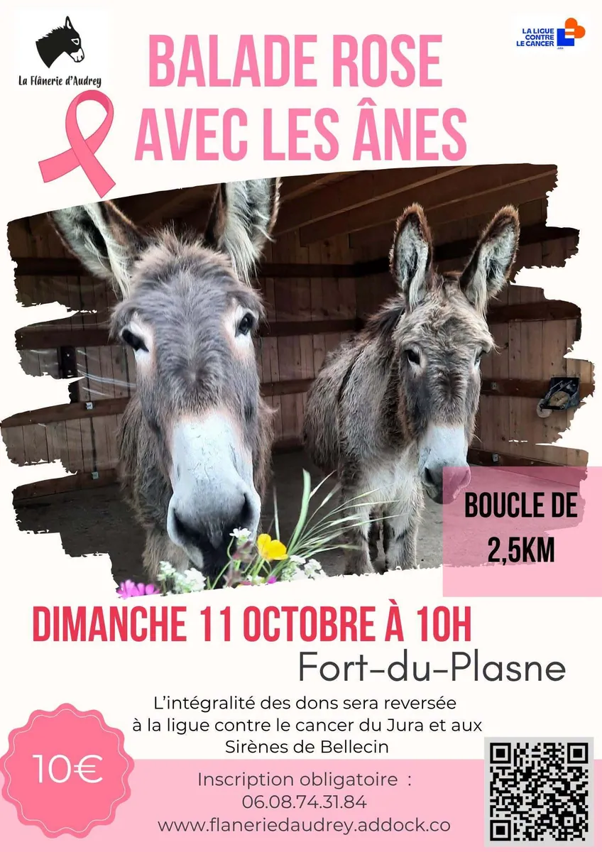 Affiche : Balade rose avec les ânes