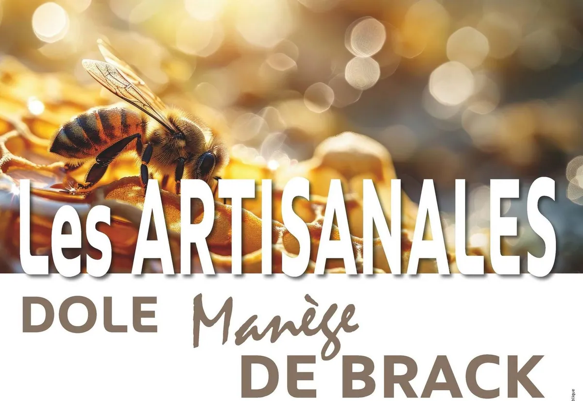 Affiche : Les Artisanales au Manège de Brack à Dole