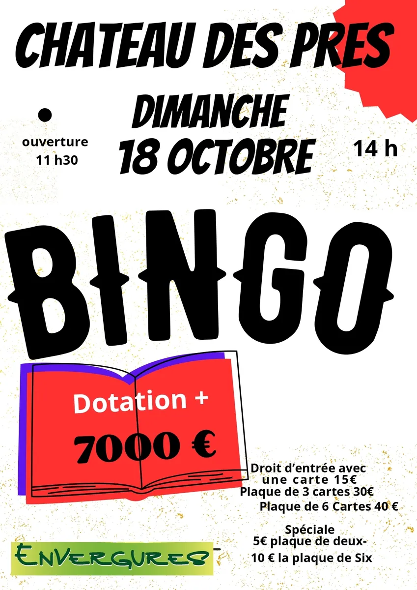 Affiche : Bingo