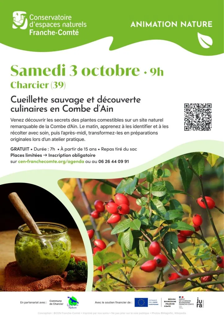 Cueillette sauvage et découvertes culinaires en Combe d'Ain
