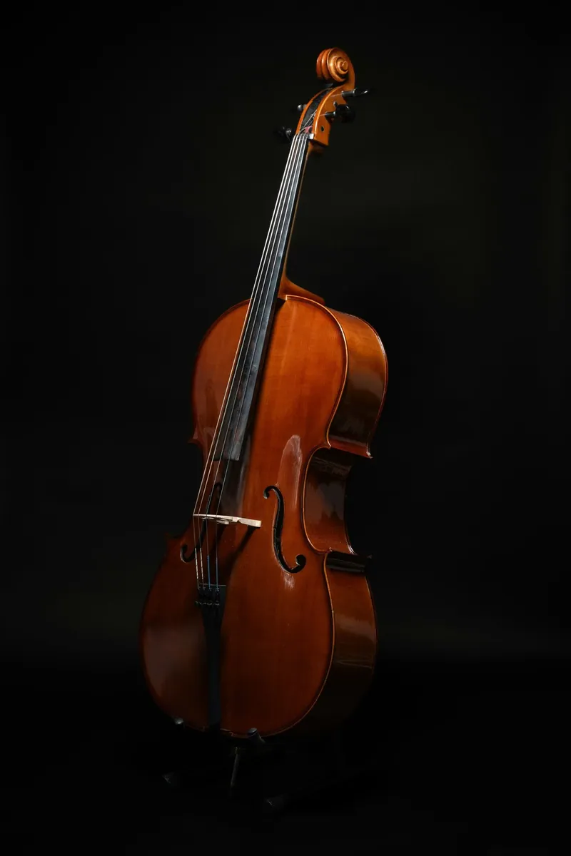 Affiche de Duo de violoncelle et piano à Fay-en-Montagne (39) — Sorties dans le Jura