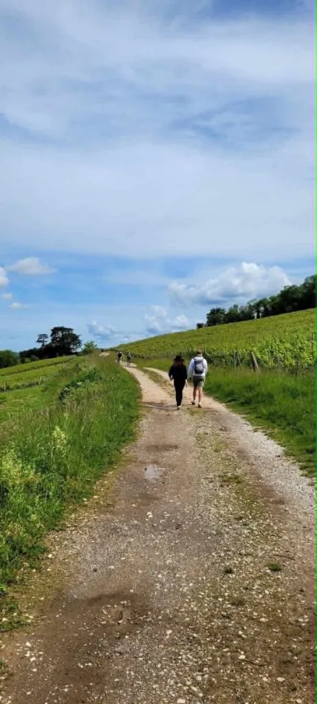 Poster for Walking excursion in Le-Vernois (39) — Things to do in the Jura
