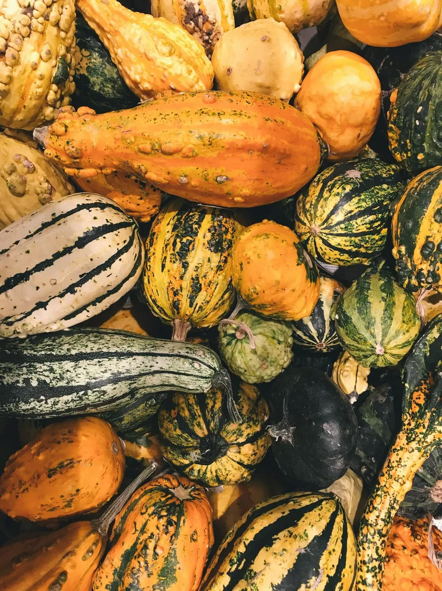 Affiche : Fête de la courge et des saveurs d’automne à Arbois